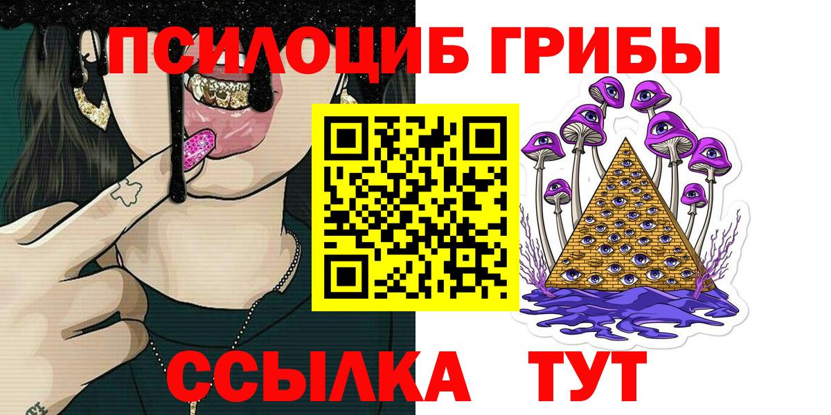 Псилоцибиновые грибы Psilocybe Артём