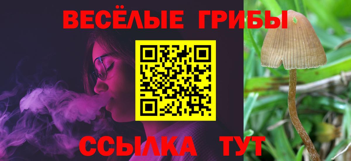Галлюциногенные грибы мицелий  Вход с VPN  Галлюциногенные грибы MAGIC MUSHROOMS  Артём 